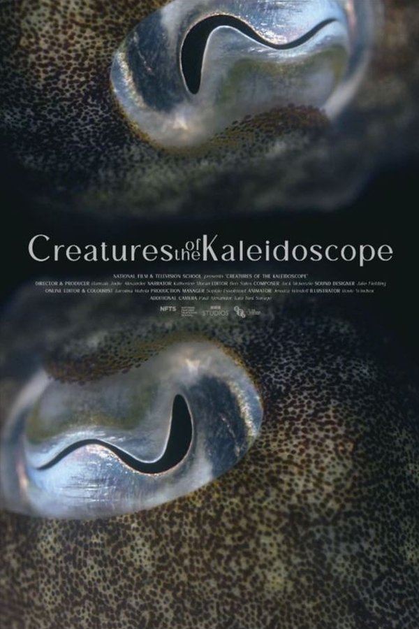 Creatures Of The Kaleidoscope