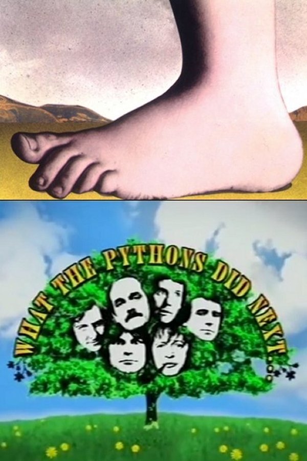 What The Pythons Did Next...