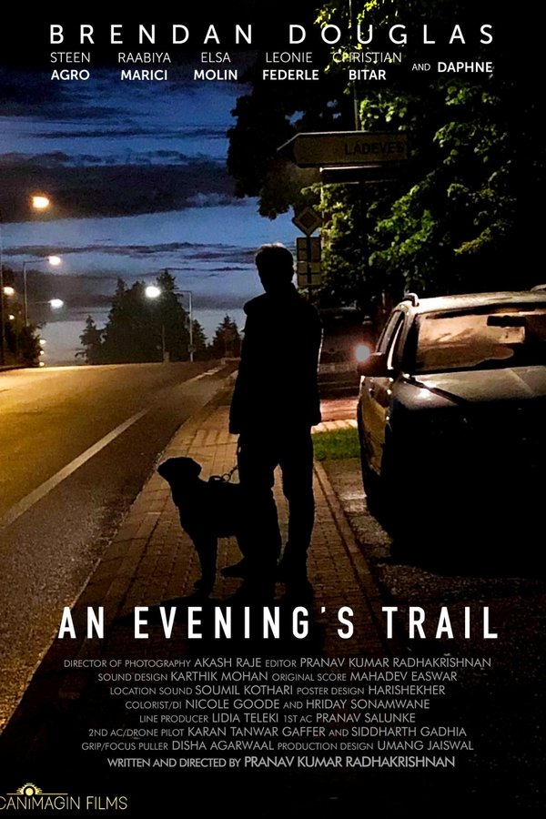 An Evening's Trail