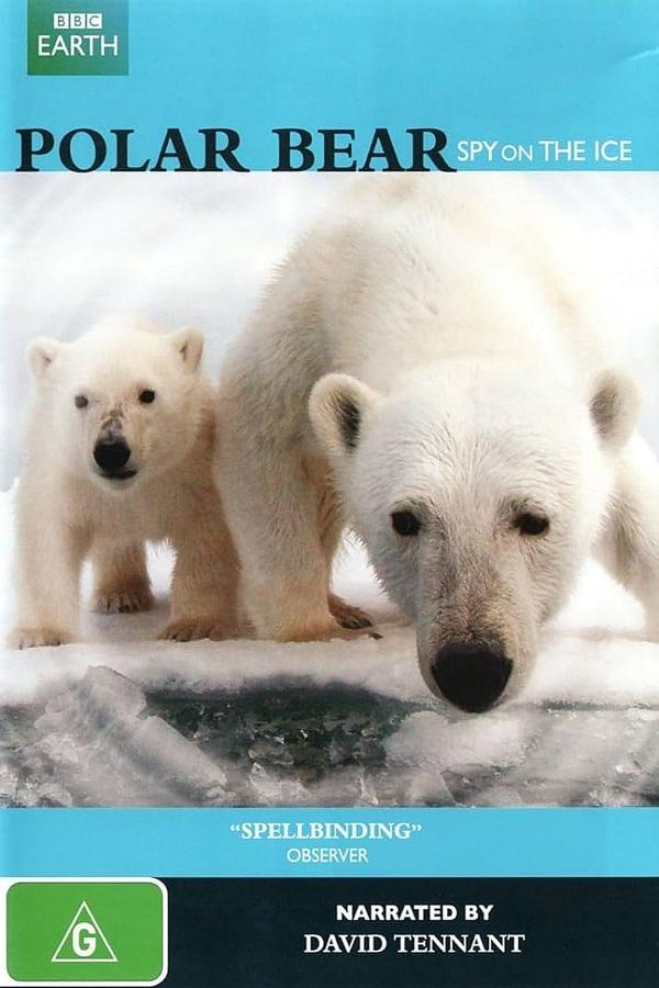 Polar Bear - Spy On The Ice