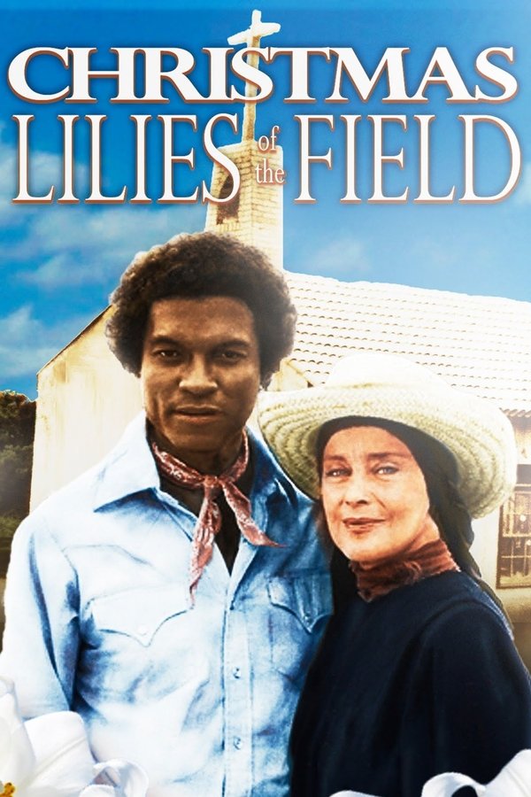Christmas Lilies Of The Field