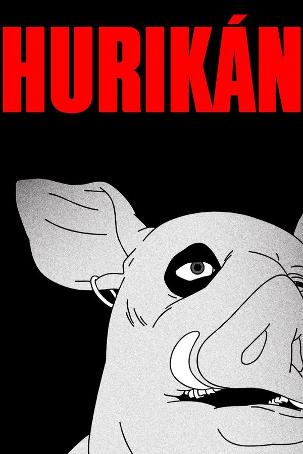 Hurikán
