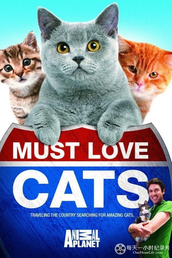 Animal Planet: Must Love Cats