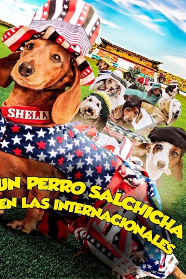 Un Perro Salchicha En Las Internacionales