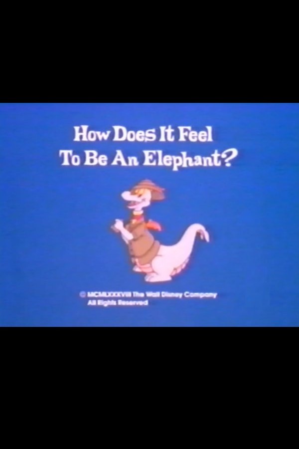 How Does It Feel To Be An Elephant?