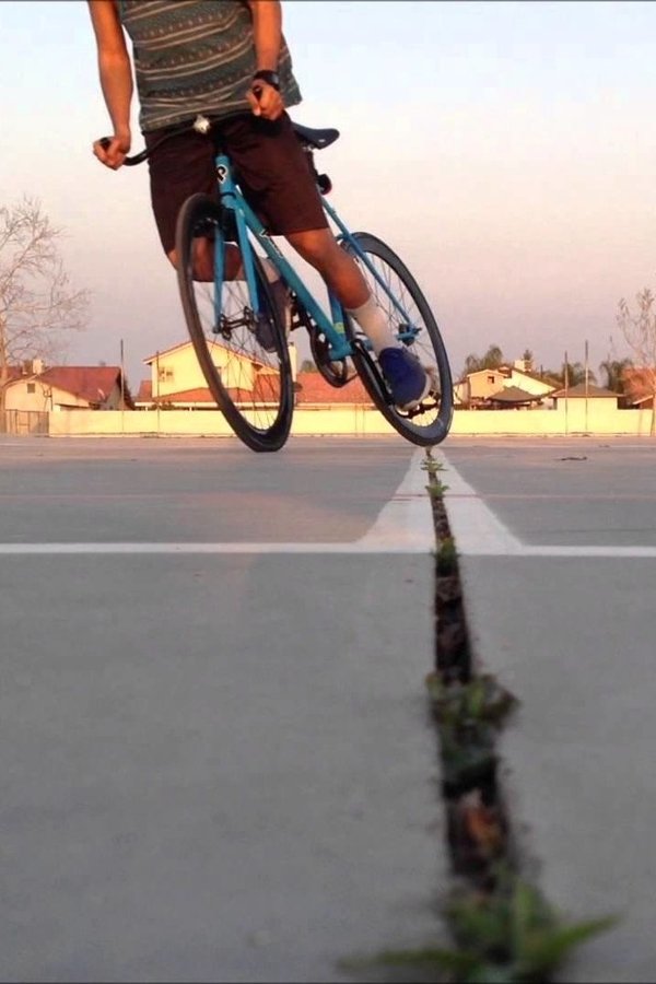 Fixie