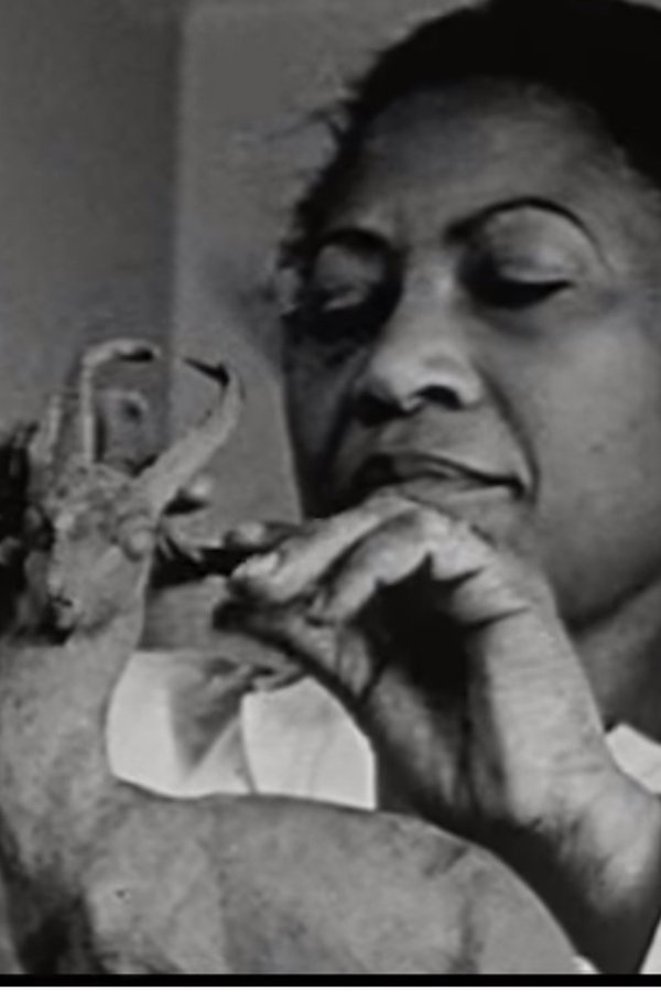 A Study Of Negro Artists