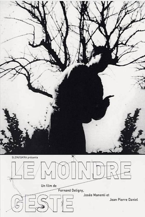 Le Moindre Geste