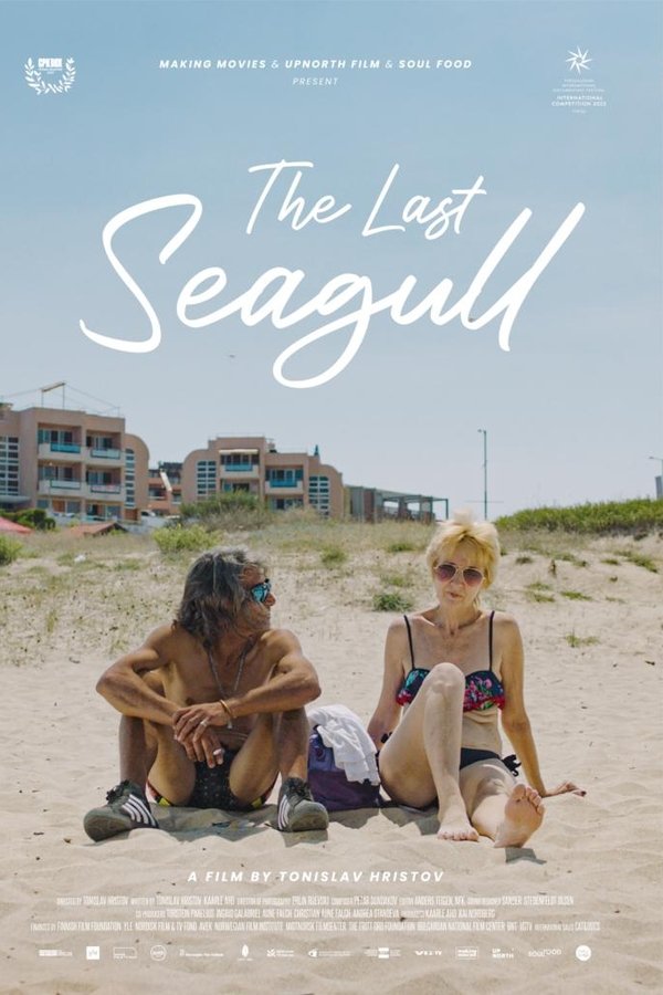 The Last Seagull