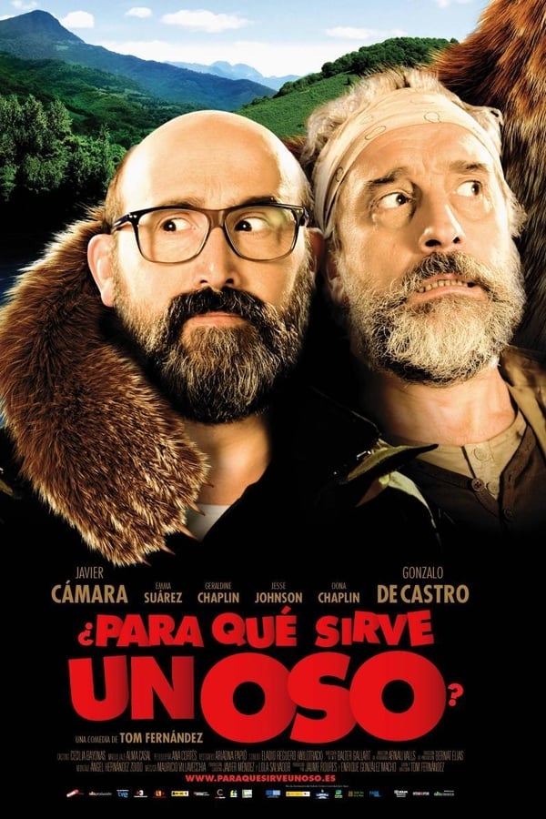 ¿Para Qué Sirve Un Oso?