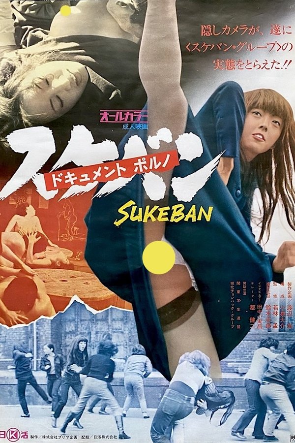 ドキュメントポルノ　スケバン