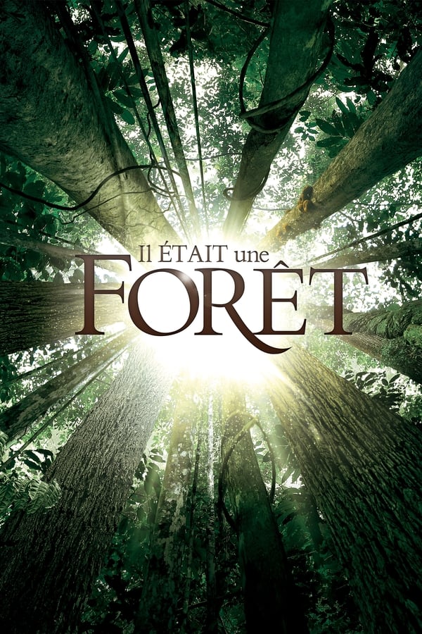 Il était Une Forêt