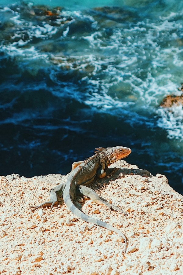 Puerto Rico: Island Of Enchantment