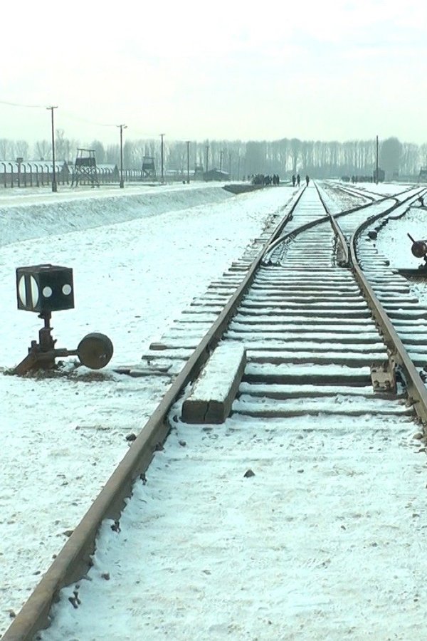 Mina 19 876 Steg I Auschwitz / Birkenau