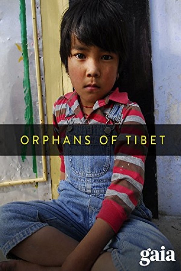 Les Orphelins Du Tibet