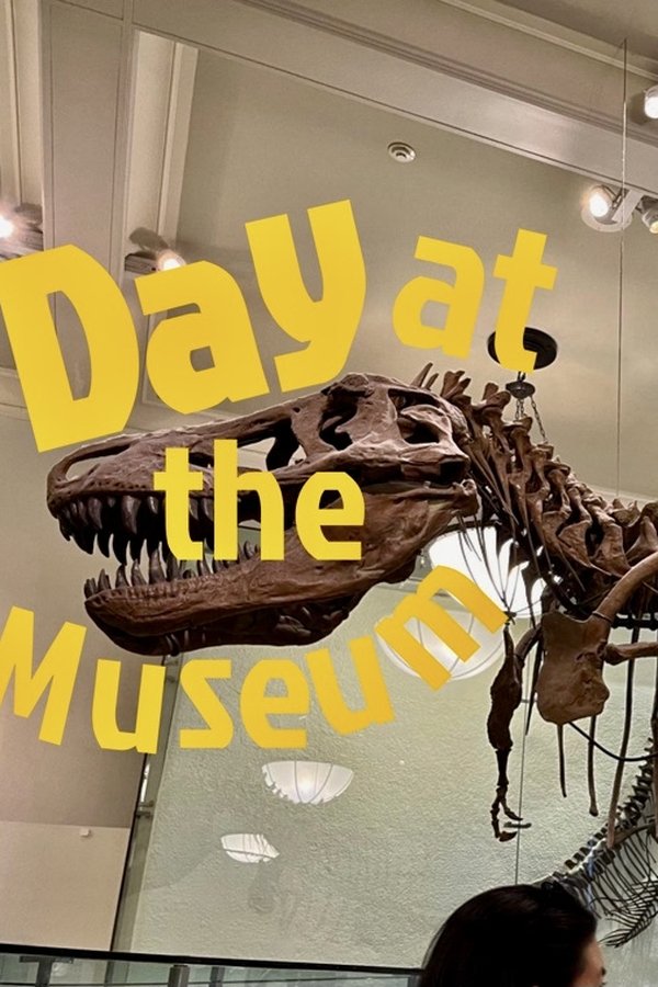 Day At The Museum