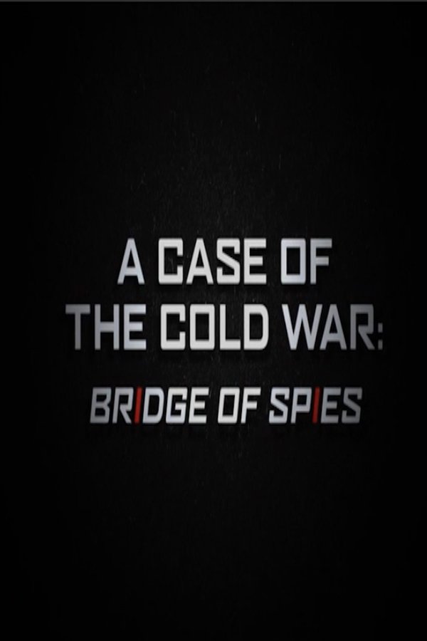 A Case Of The Cold War: Bridge Of Spies