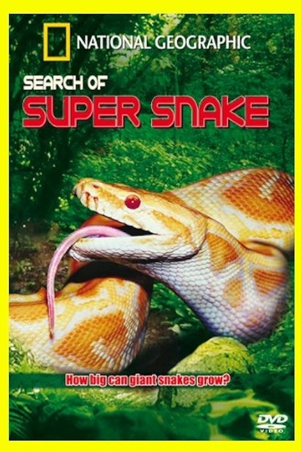 Search For The Supersnake