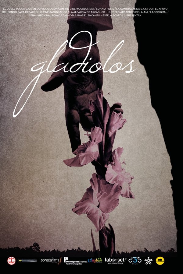 Gladiolos