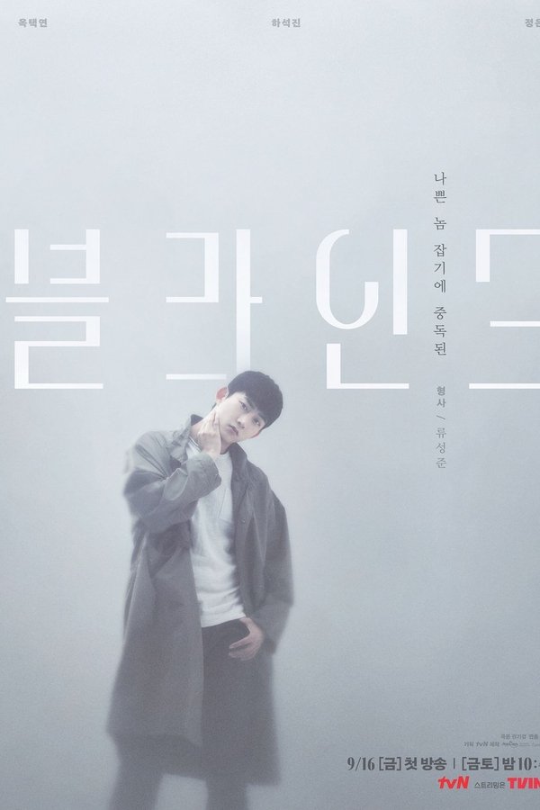 블라인드