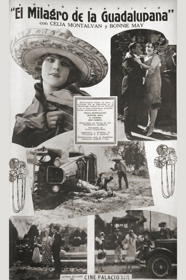 Milagros De La Guadalupana
