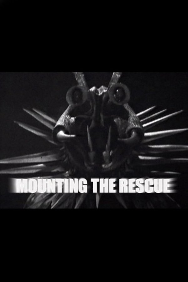 Mounting The Rescue