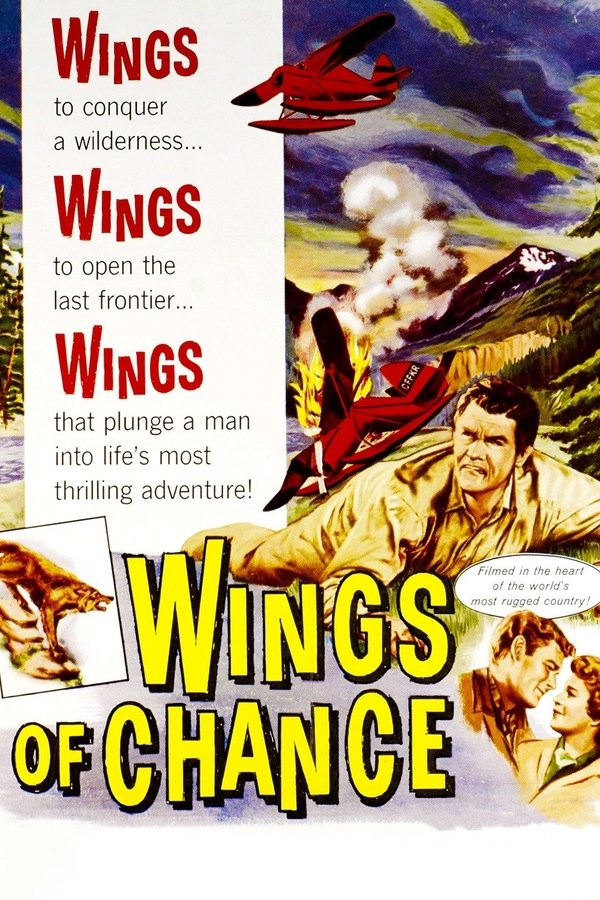 Wings Of Chance
