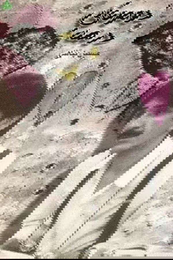 دو مرغابی در مه