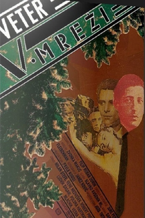 Veter V Mreži