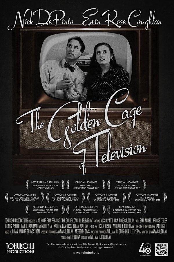 The Golden Cage Of Television