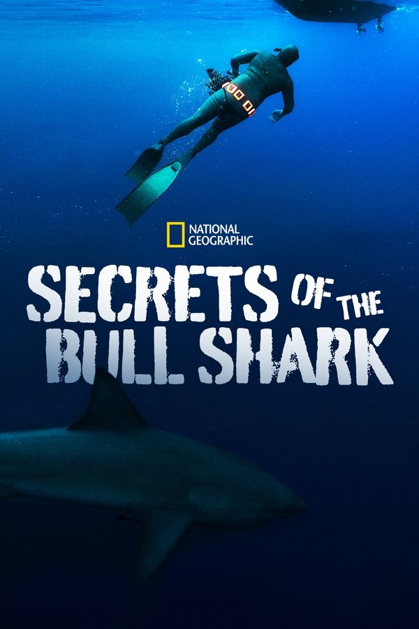 Secrets Of The Bull Shark