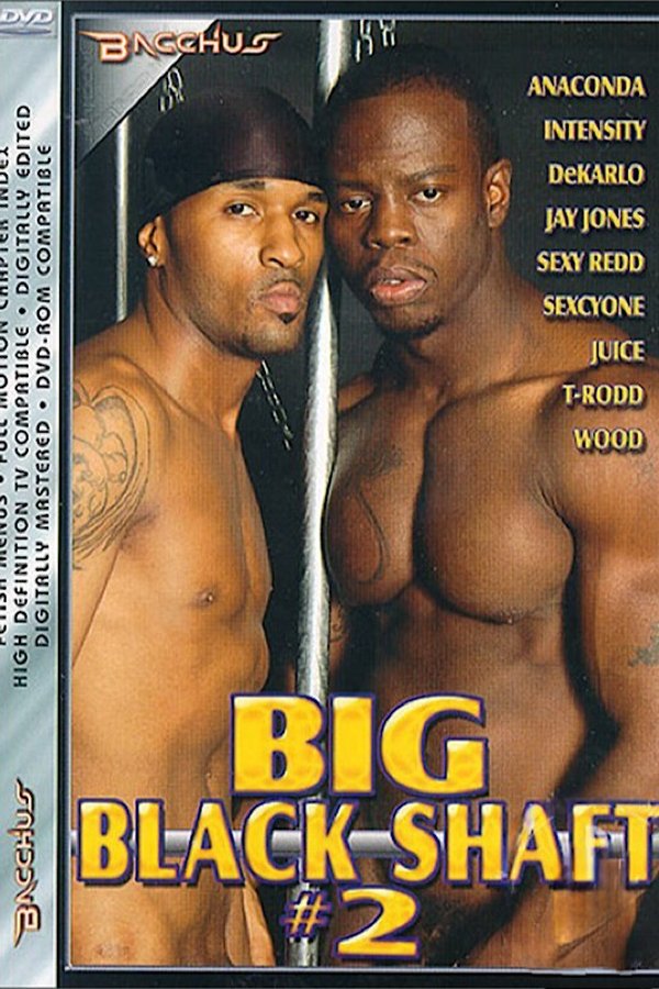 Big Black Shaft 2