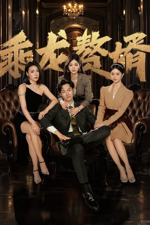 乘龙赘婿