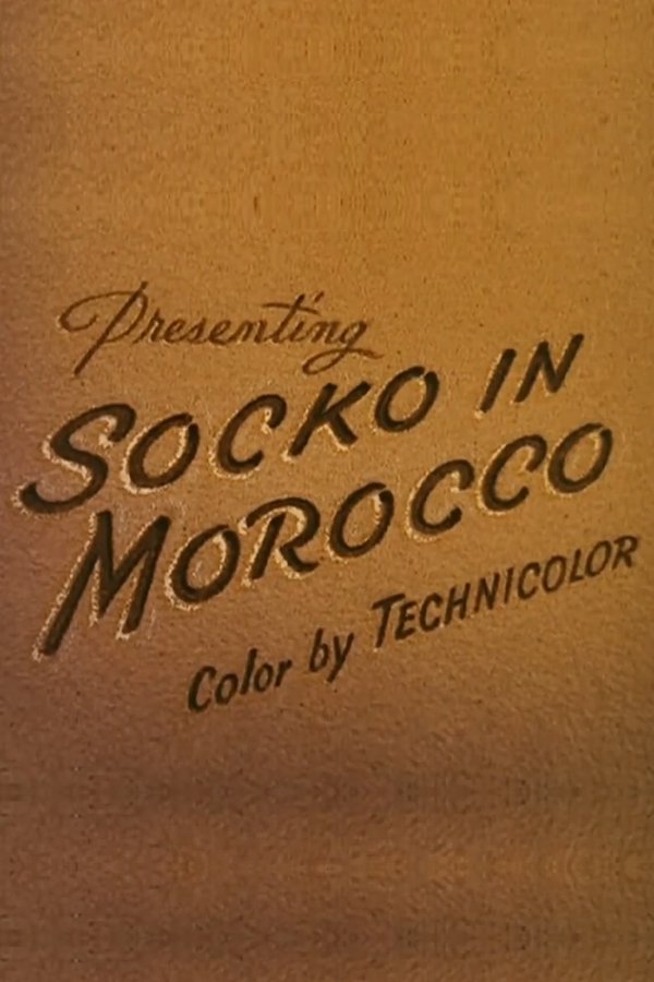 Socko In Morocco