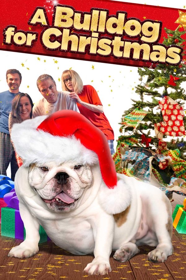 A Bulldog For Christmas