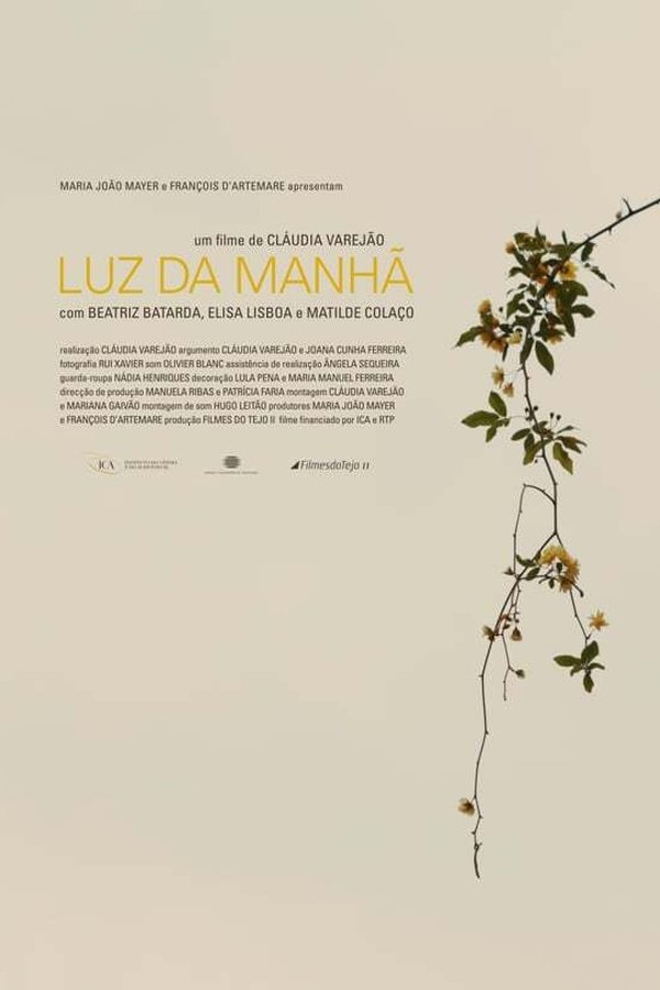 Luz Da Manhã