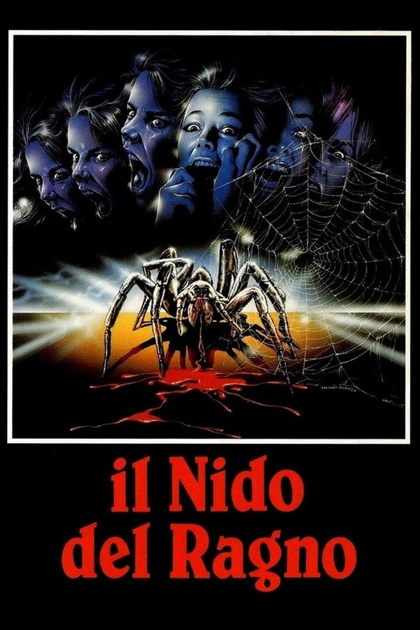 Il Nido Del Ragno
