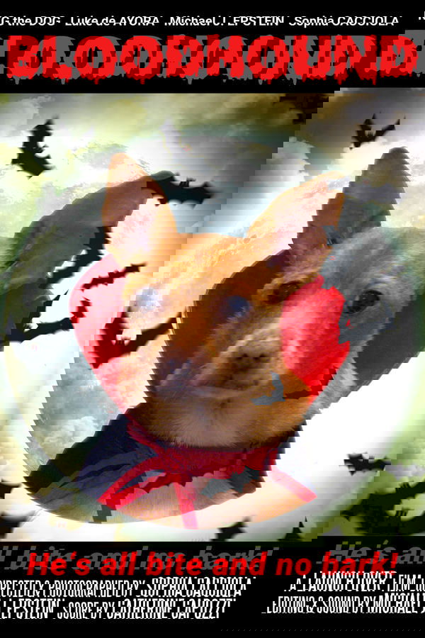 Bloodhound