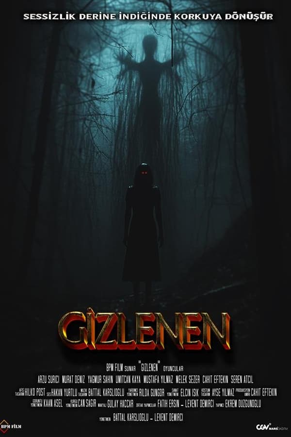 Gizlenen