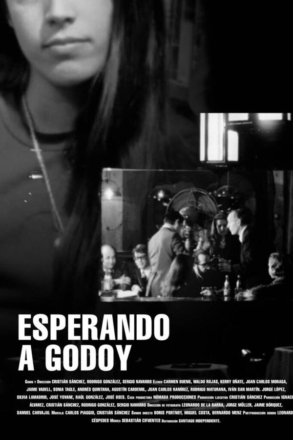 Esperando A Godoy