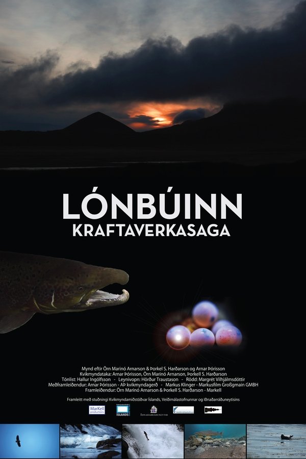 Lónbúinn - Kraftaverkasaga