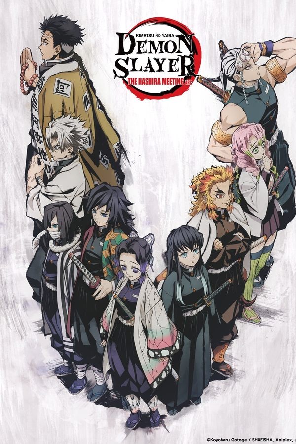 Demon Slayer Kimetsu no Yaiba The Hashira Meeting Arc