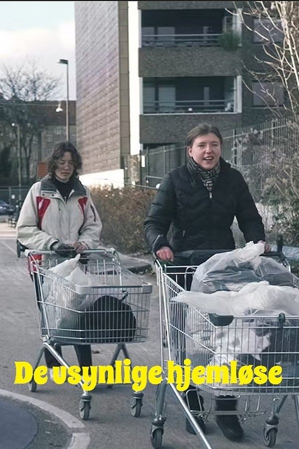 De usynlige hjemløse