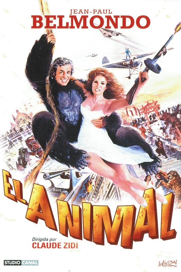 Animal