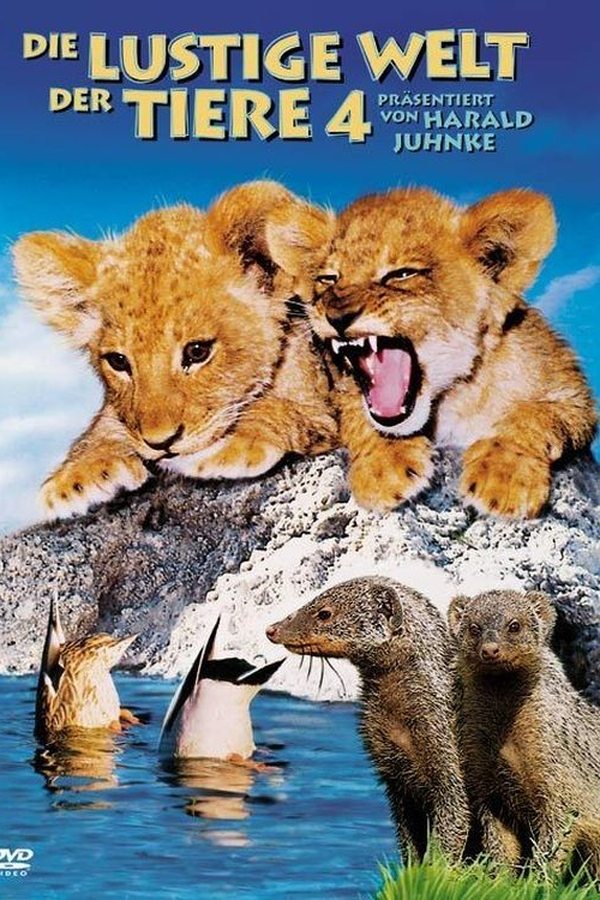 The Funny World of Animals 4