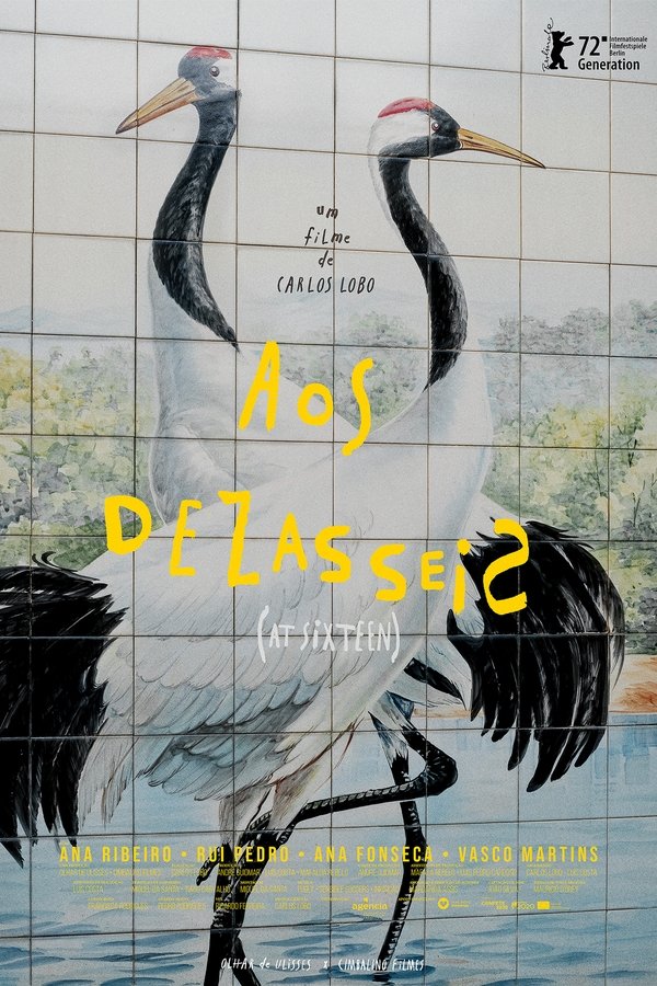 Aos Dezasseis