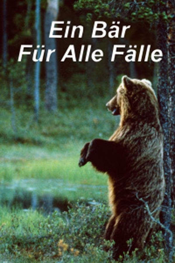 Ein Bär Für Alle Fälle