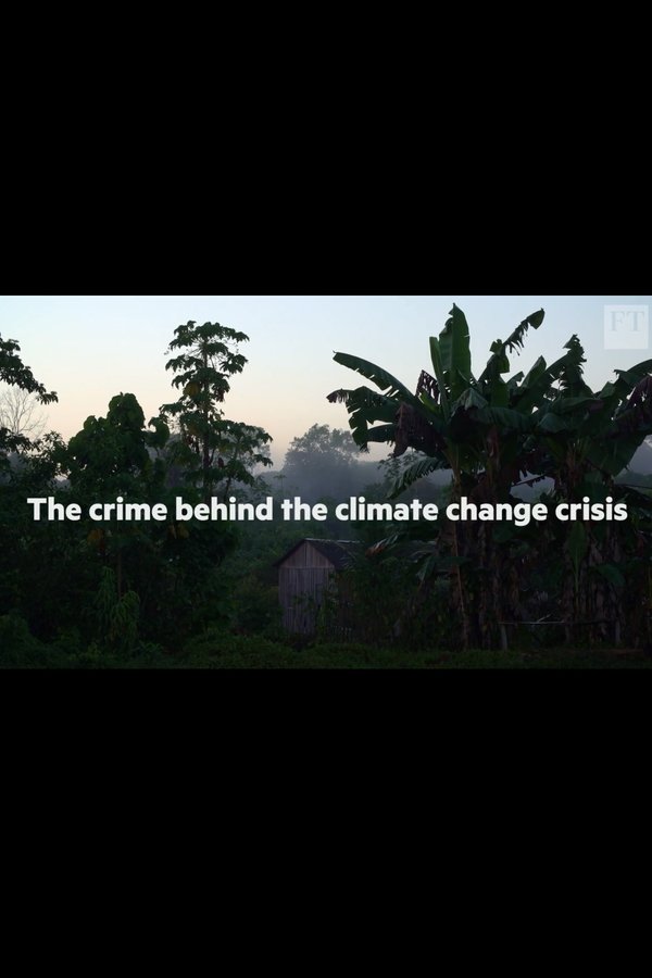 The Crime Behind The Amazon Climate Change Crisis