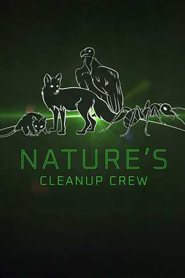 Nature's Clean-up Crew