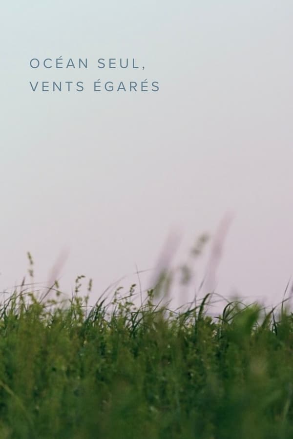 Océan Seul, Vents égarés